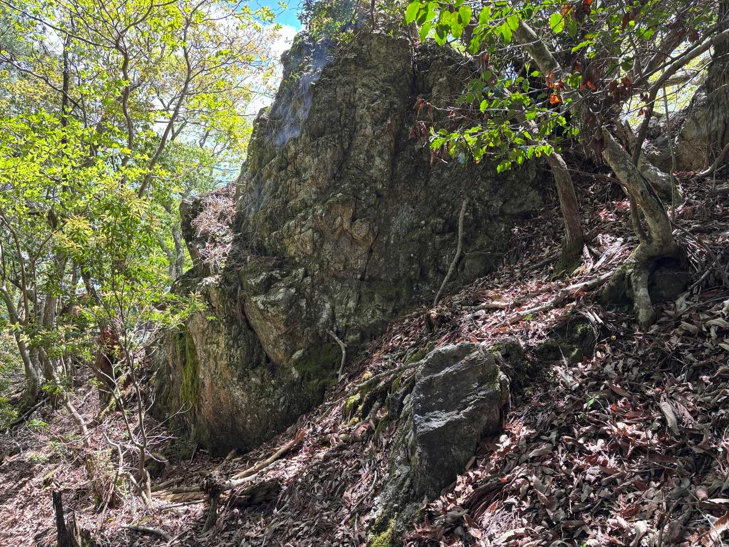 黒尾山にちかづくと雰囲気が変わって巨石増えてくる。