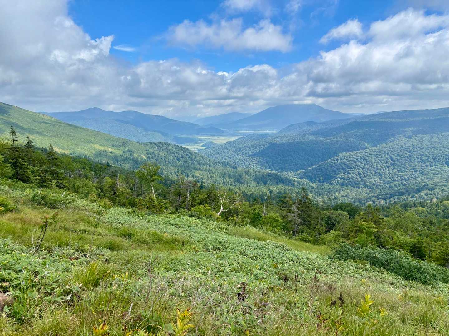 鳩待峠-至仏山 往復コースの写真