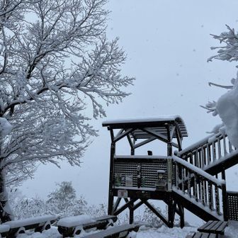 景色は見られず😂　回復する気配も無く❄️
下山しま〜す☃️