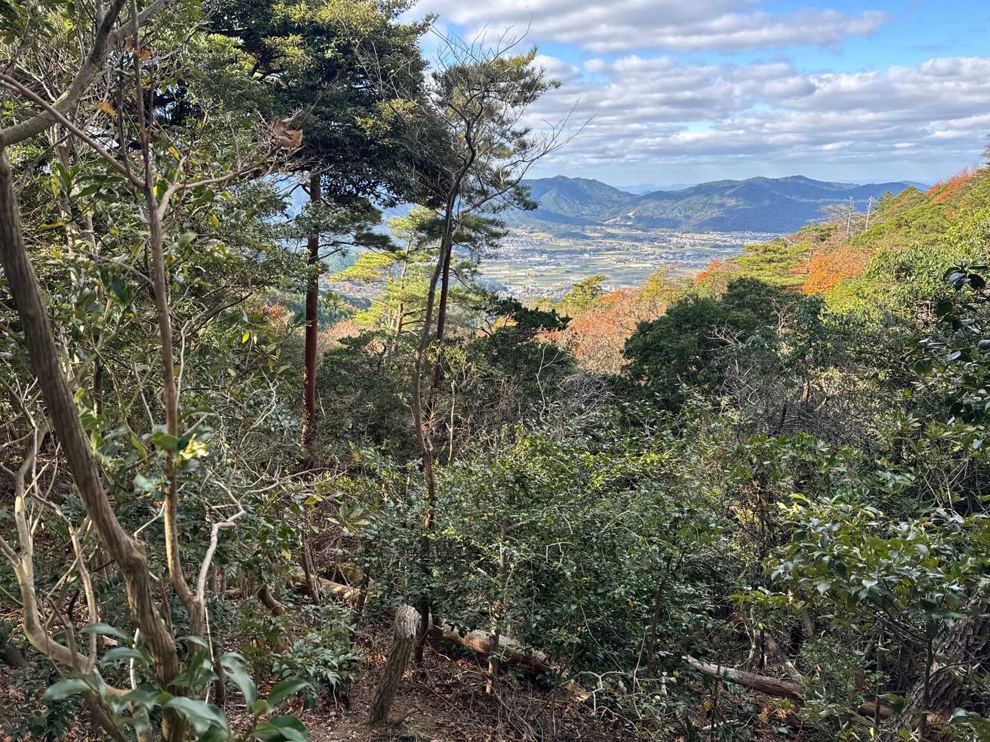 梅林登山口-片江山-妙見山 往復コースの写真