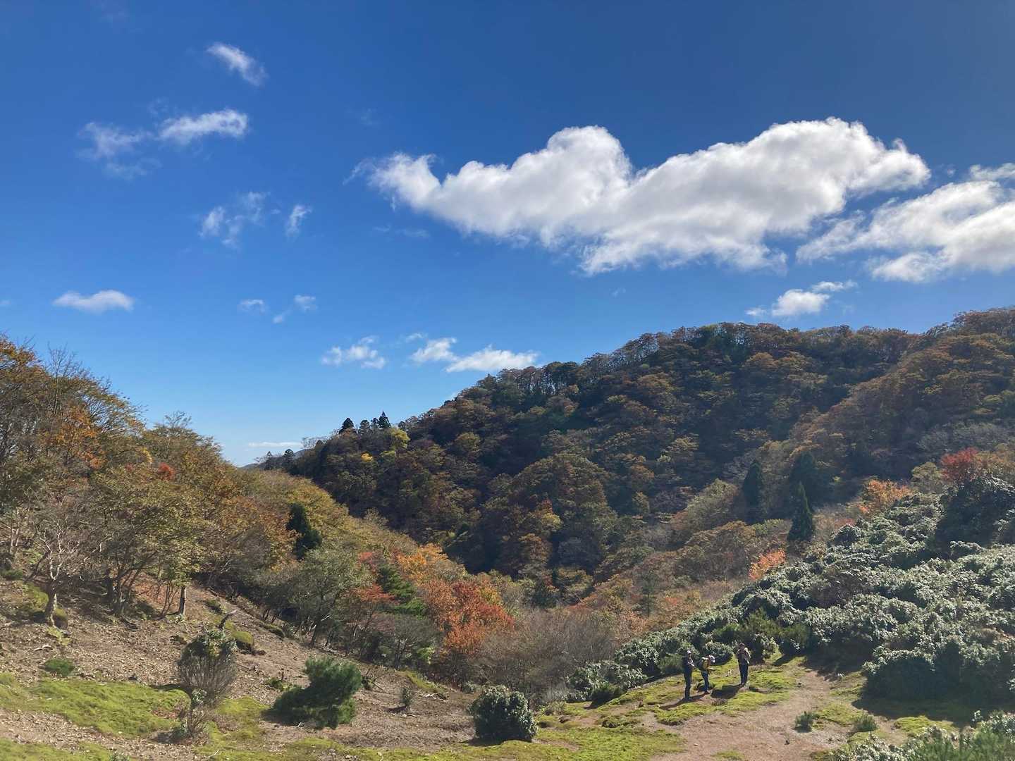 銚子ヶ口登山口-銚子ヶ口-大峠の頭-水舟の池 往復コースの写真