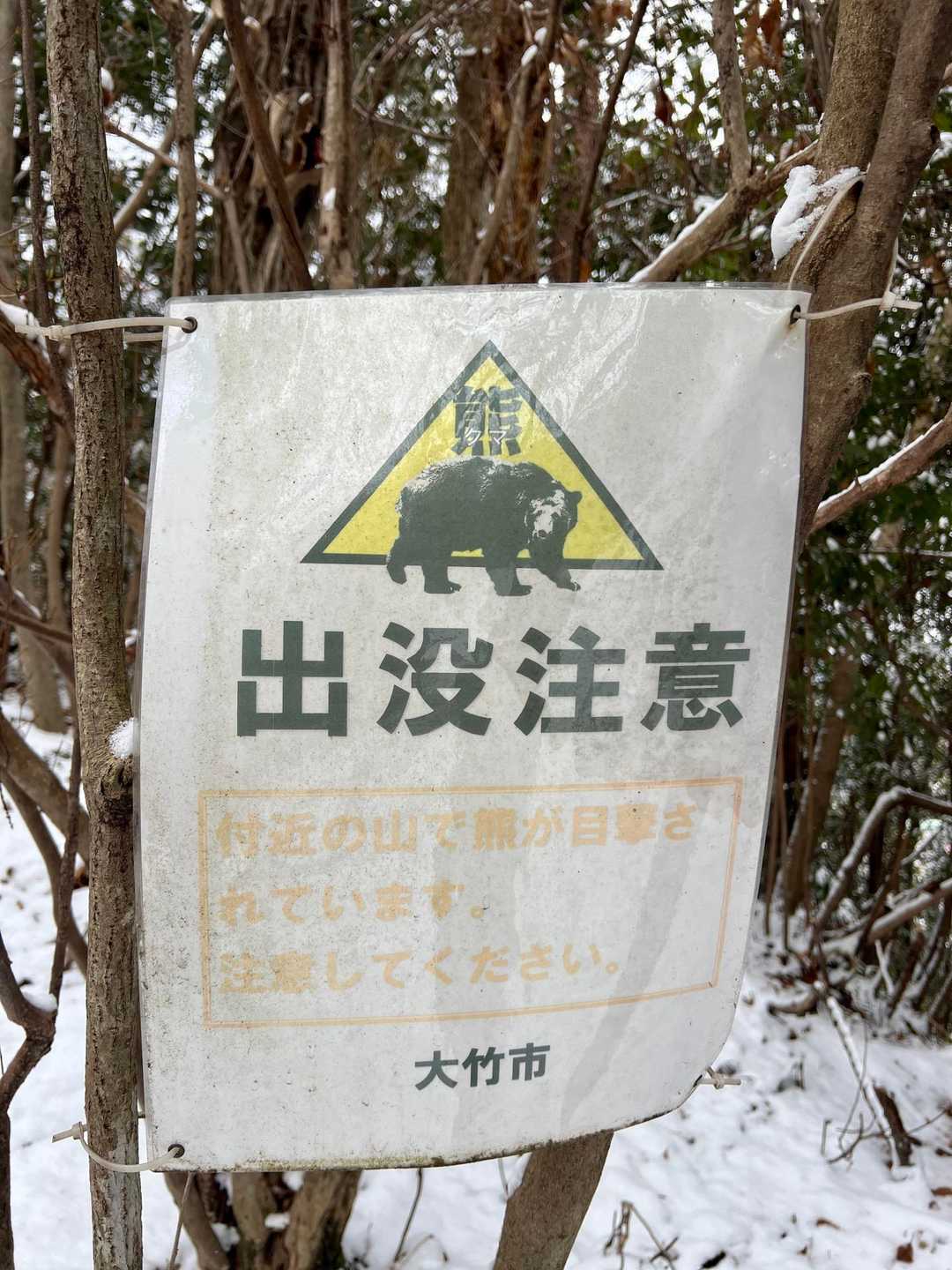 ⚠️🐻⚠️
付近の山で熊が目撃されています。