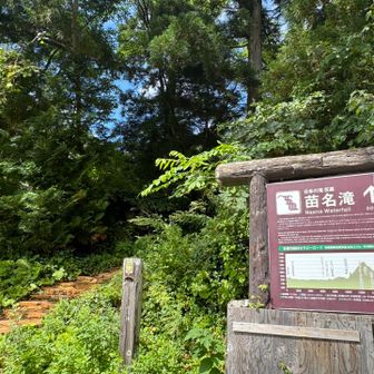 ここから散策コース
