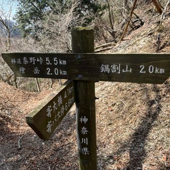 雨山峠まで来て初めて鍋割山の文字が出てきました。
あと2kmがんばろう😤