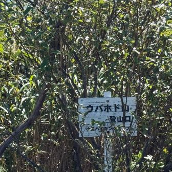 ウバホド山へ🐾 はここから入るね