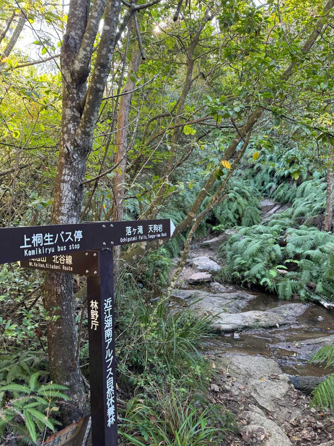 落ヶ滝に寄り道