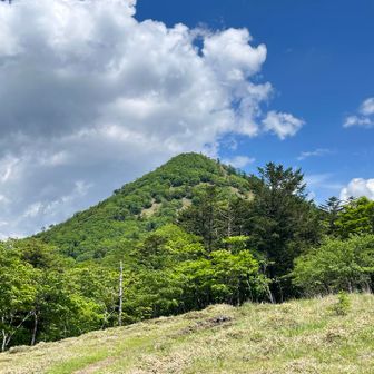 あれが笠取山か！