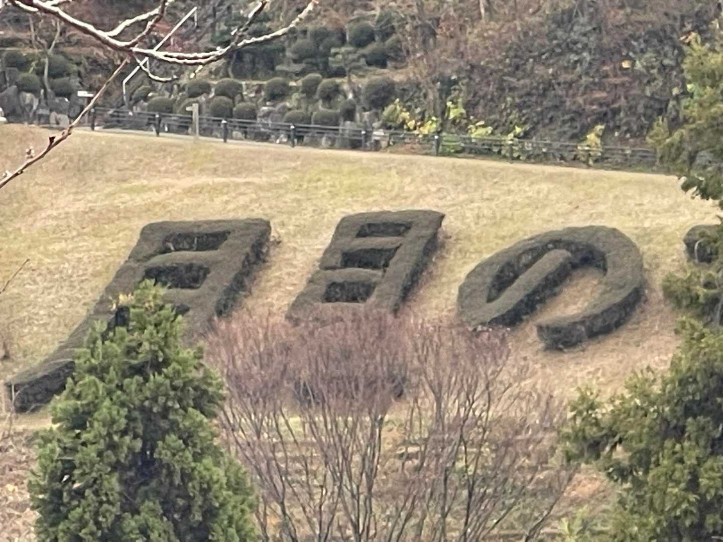 もり🌲