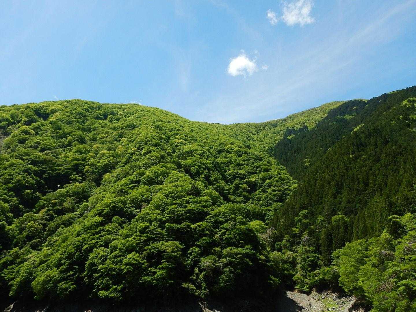 夏空