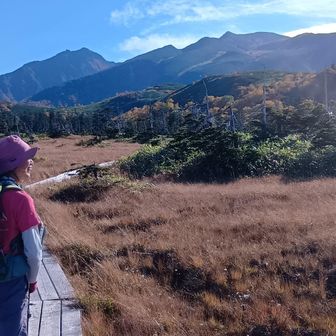 木道が続き愛別～旭岳の稜線が間近に。