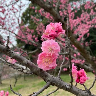 ユーザーたんく