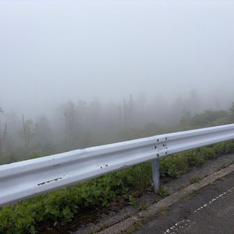 おつかれ山⛰️
