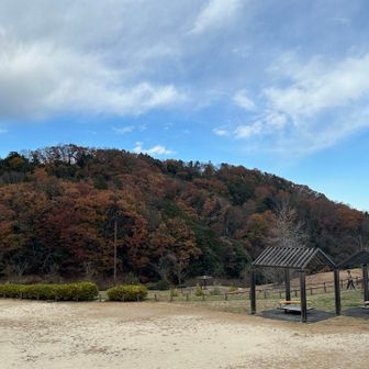 一旦道路を歩いてお次の山へ。
