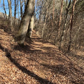 後はゆるゆると。