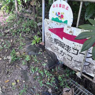 登山口