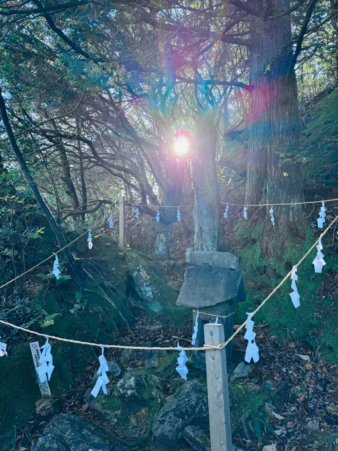 御岩山 往復コースの写真