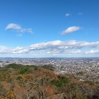 太平山 展望台(蔵の町一望)