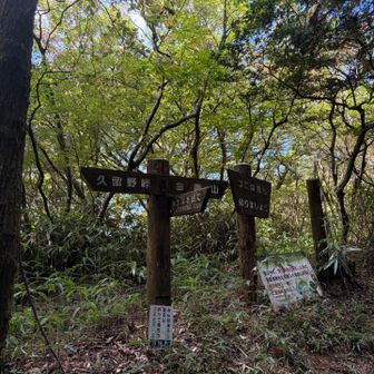 分岐点😊もう少しでちはや園地😊