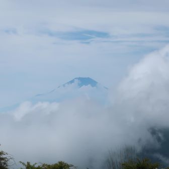 山頂で休憩していたら頭だけ出してくれた