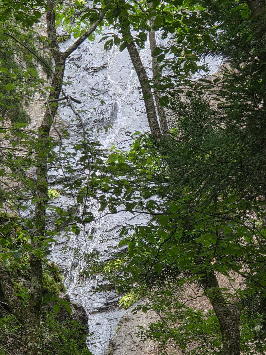 下山途中
雨の後だけ出現する幻の滝💦