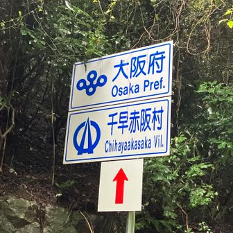 下山、帰りの運転中にはどんどん晴れてきてましたね。