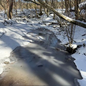 川が凍ってた