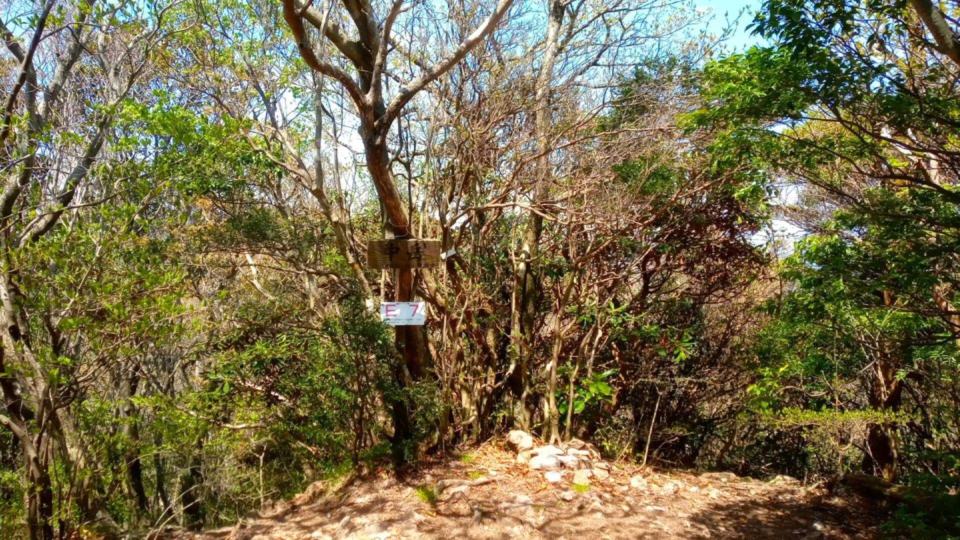 中岳の写真