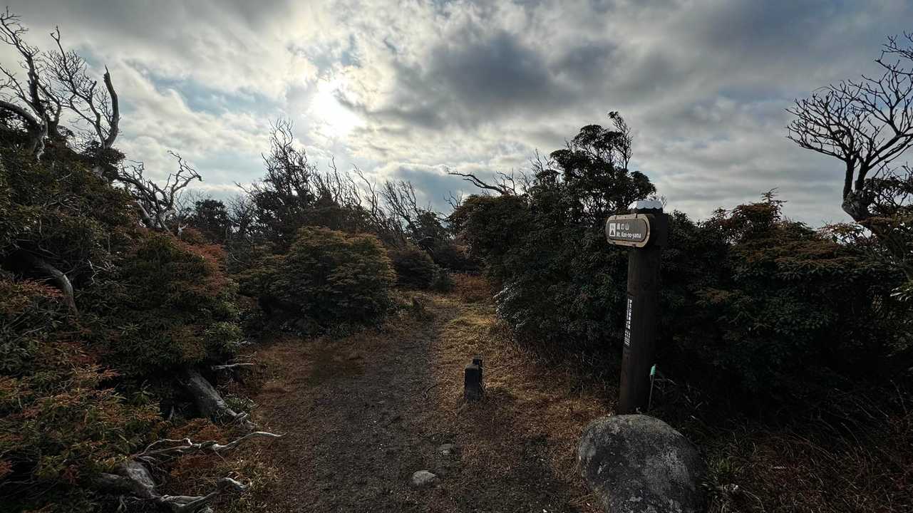 伊豆山陵線トレイル（三蓋山・水呑頭・猫越岳・後藤山・魂の山・棚場山・伽藍山・古稀山・達磨山・小達磨山） の写真 64
