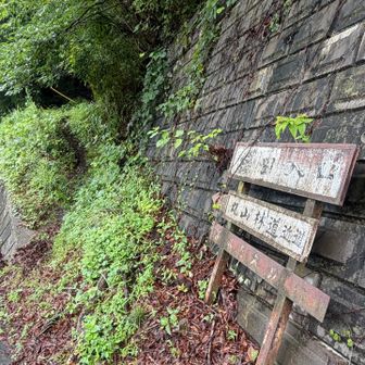 雨上がりで鬱蒼としている・・・