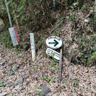 登山口