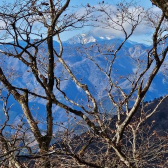 こちらも綺麗🏔