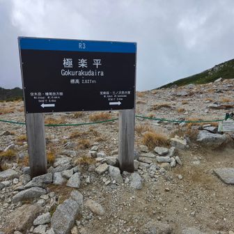 さすがにマズイなと思い引き返して千畳敷へ戻る事を決断