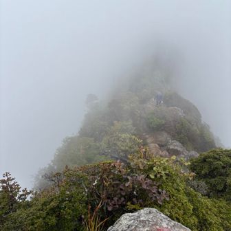 天狗へ向かいたいけど暴風の視界ゼロで断念
よく見る石鎚山のとんがり見たかった〜😭😭