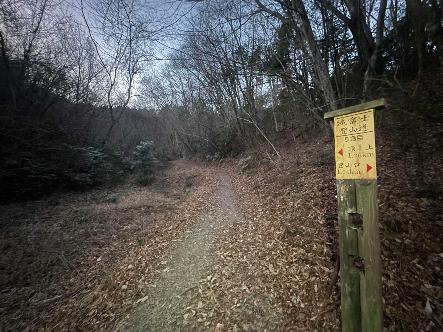 すっかり明るくなって来ました⤴︎