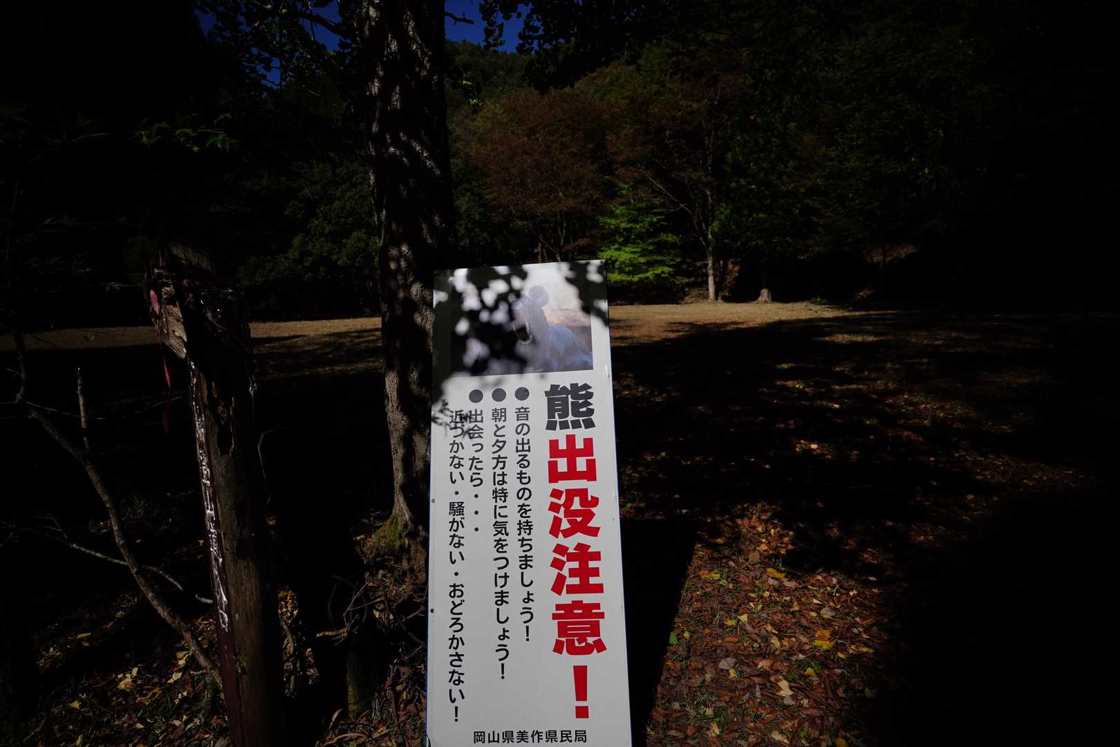 熊鈴だけでは心細いので保存済みのラジオを大音量で聴きながら歩きました

「安住紳一郎の日曜天国」　
何気に今のお気に入りです

