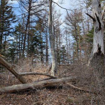 今回のルートで唯一荒れていた箇所。