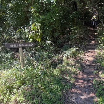 加波山を目指します。
