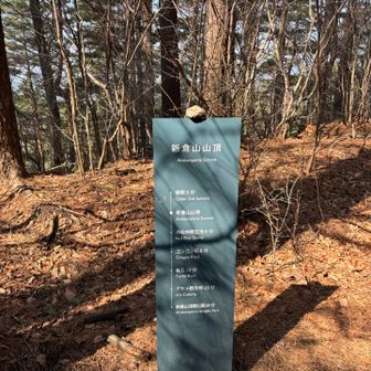 新倉山とうちゃこ。