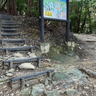 階段のコースへ