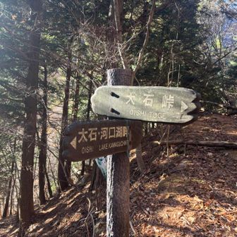 この看板を見て迷わずに林道を登って行ったら登山道は別にあったようで、ズリ落ちそうな斜面を通り合流(^◇^;)