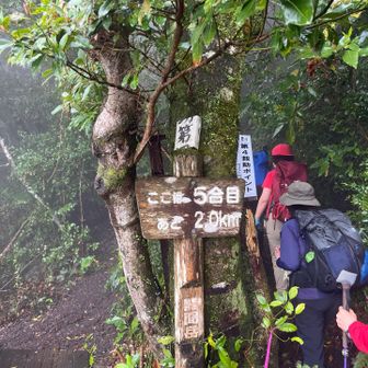 諦めて休まず登ります