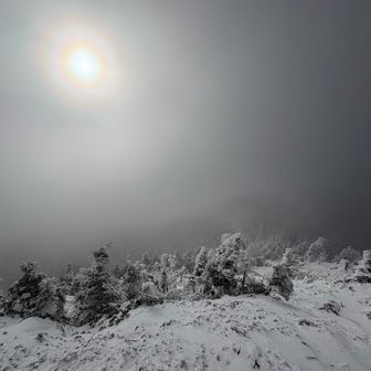 わー　ほんまですね❗️
太陽見えてきた‼️