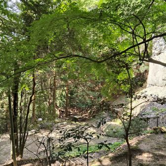それでは分岐まで山を登り返して帰りますか🙂