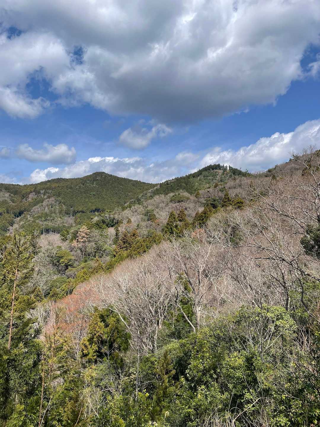 たぶん右➡️が雨山山