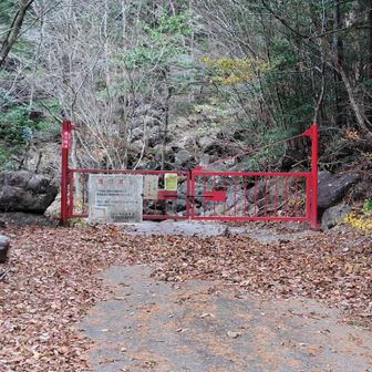 ゲート横から登る。