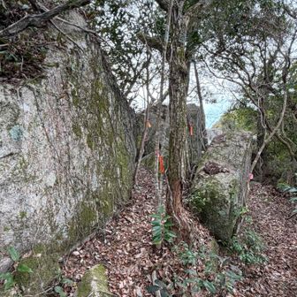 ここも、岩群の左から登ってきて、開けた方を振り返ったところ。頂上？