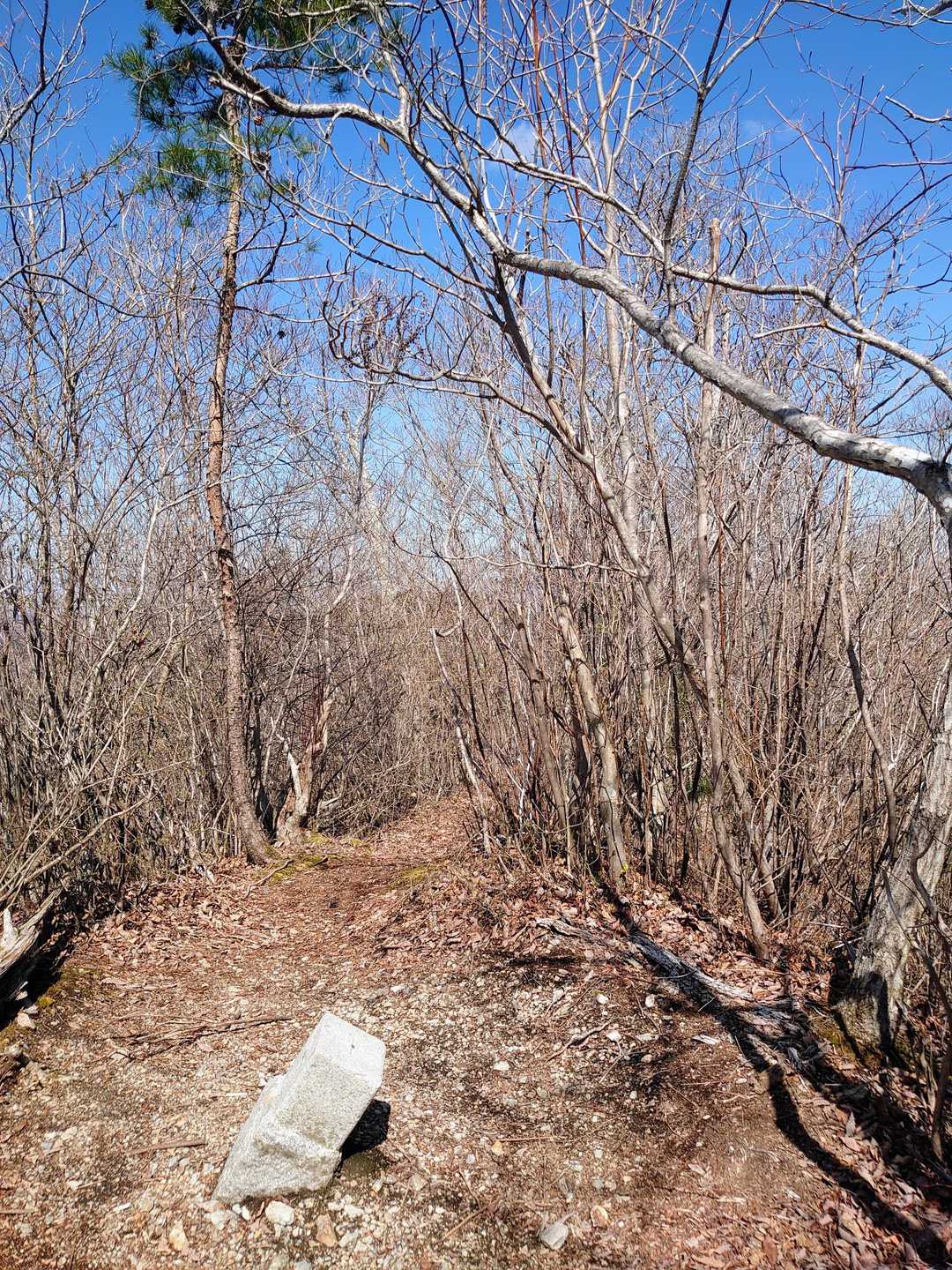 津室山山頂🗻ここで珈琲タイム☕