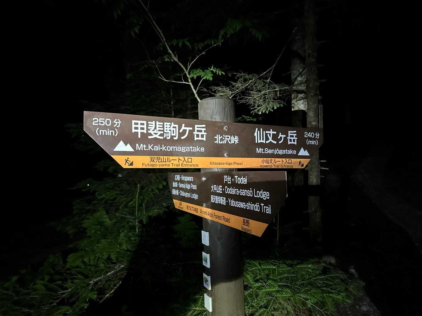 さてどうか熊さんに🐻会いませんようにスタートします🚶