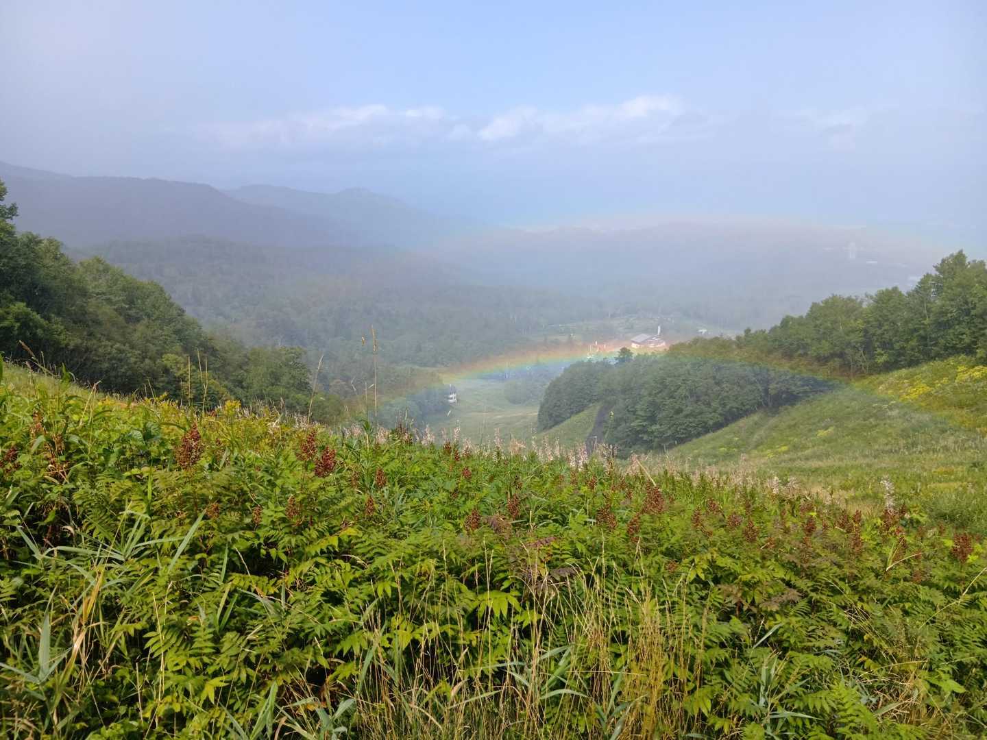 あとちょっとのとこで降ってきて濡れたけど虹が見れたよ🌈
