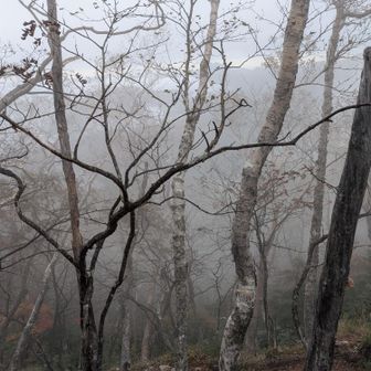 ガスの登山道、方向感覚がなくなります